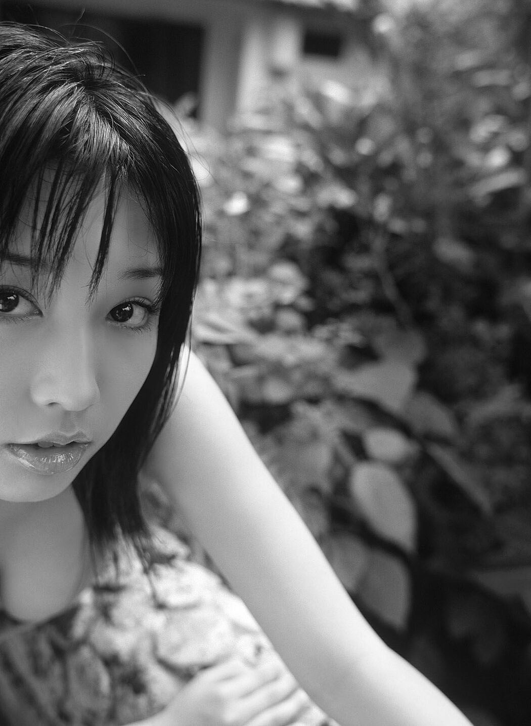 [NS Eyes] SF-No.172 Yoko Mitsuya Mitsuya leaves