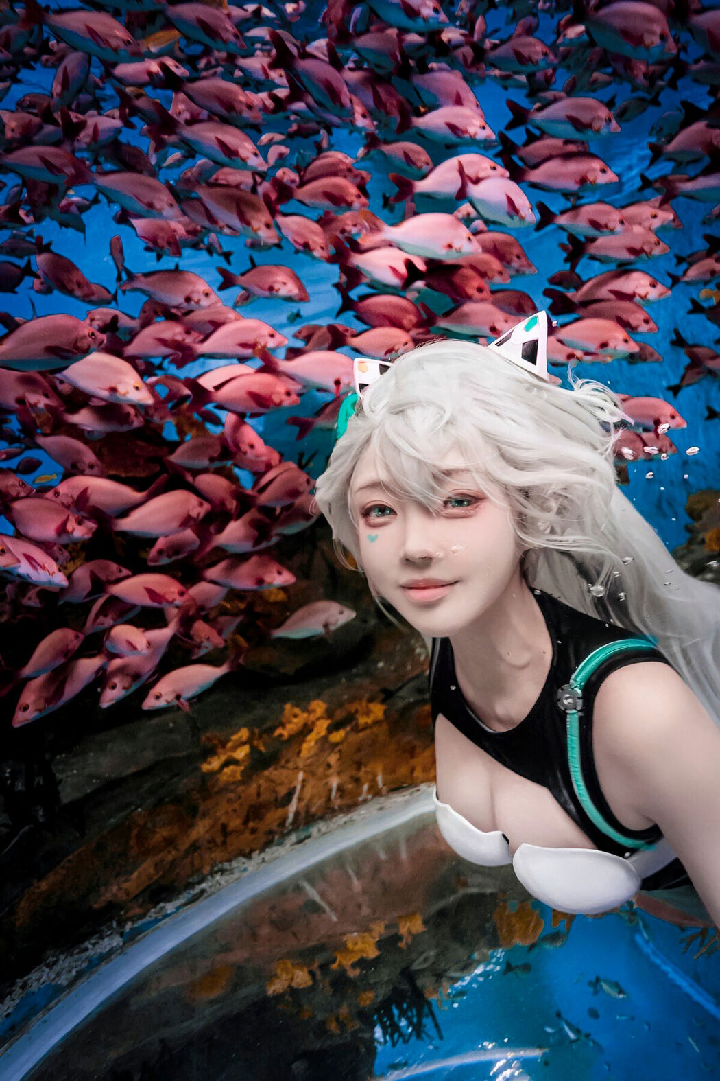 Coser@走路摇zly – 天选姬