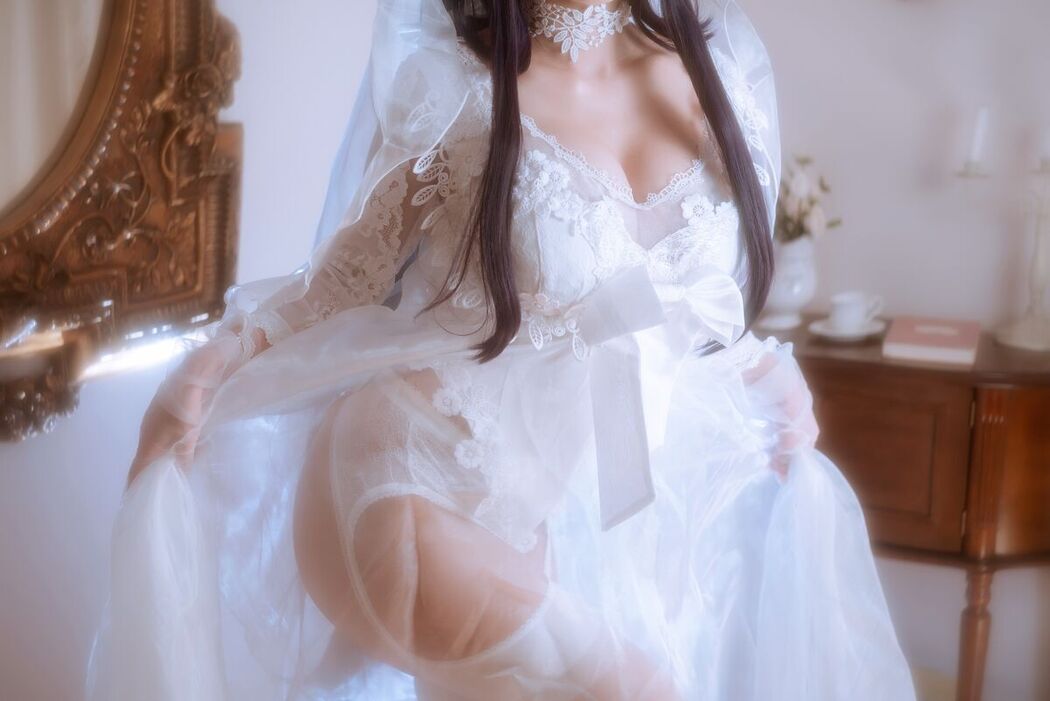 Coser@鬼畜瑶在不在w – 婚纱