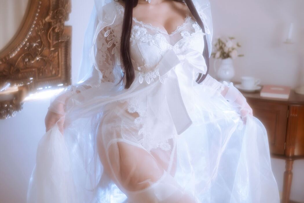 Coser@鬼畜瑶在不在w – 婚纱