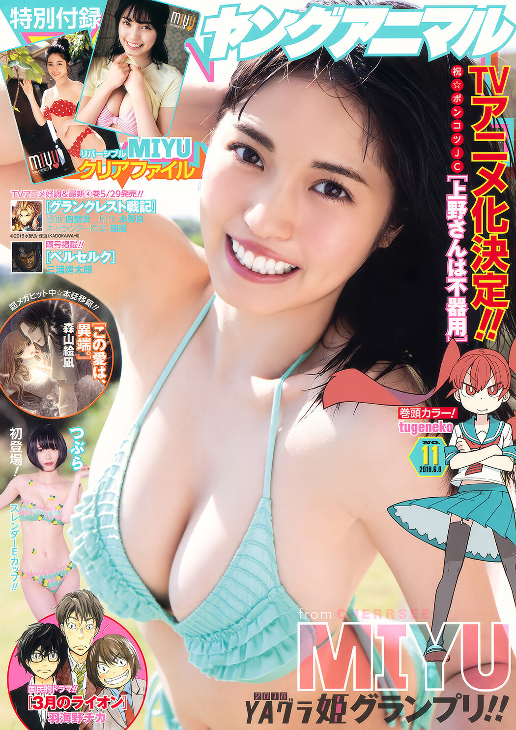 Miyu Murashima 村島未悠, Young Animal 2018 No.11 (ヤングアニマル 2018年11号) Cover Photo