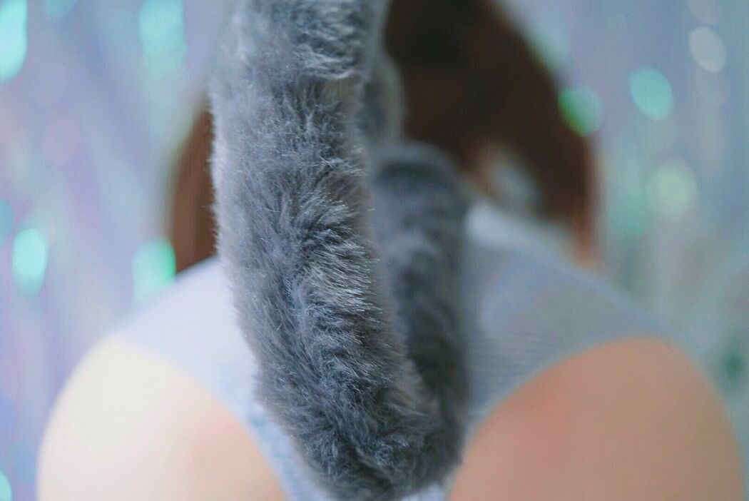 [Internet celebrity COSER photo] Cute girl eye sauce big devil w - gray-tailed cat