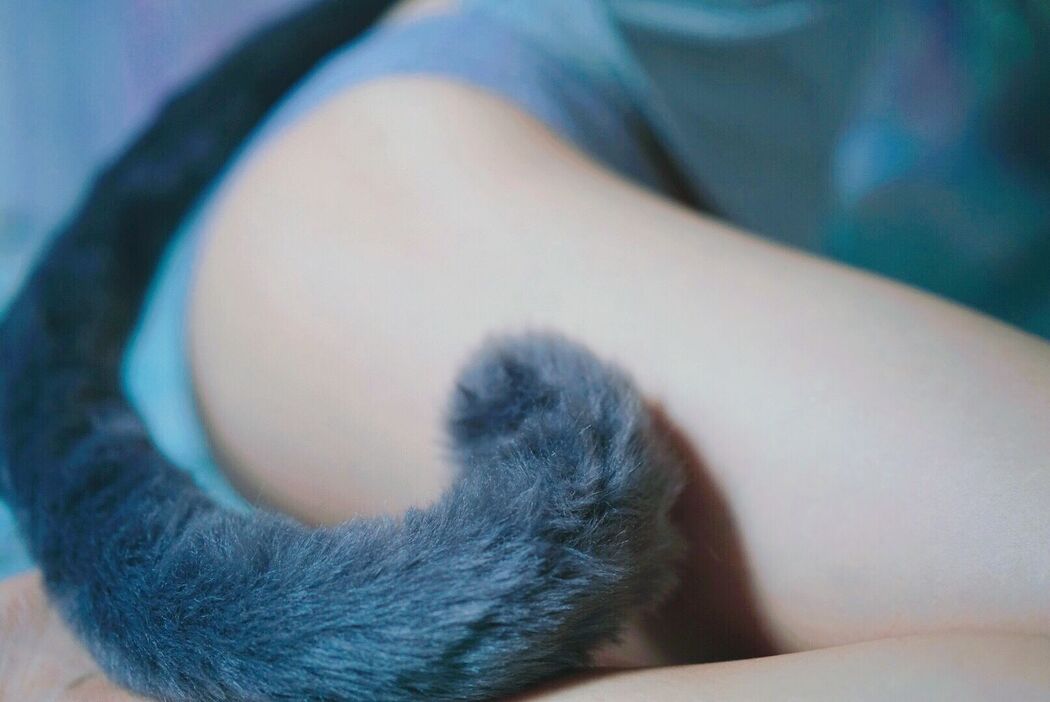 [Internet celebrity COSER photo] Cute girl eye sauce big devil w - gray-tailed cat