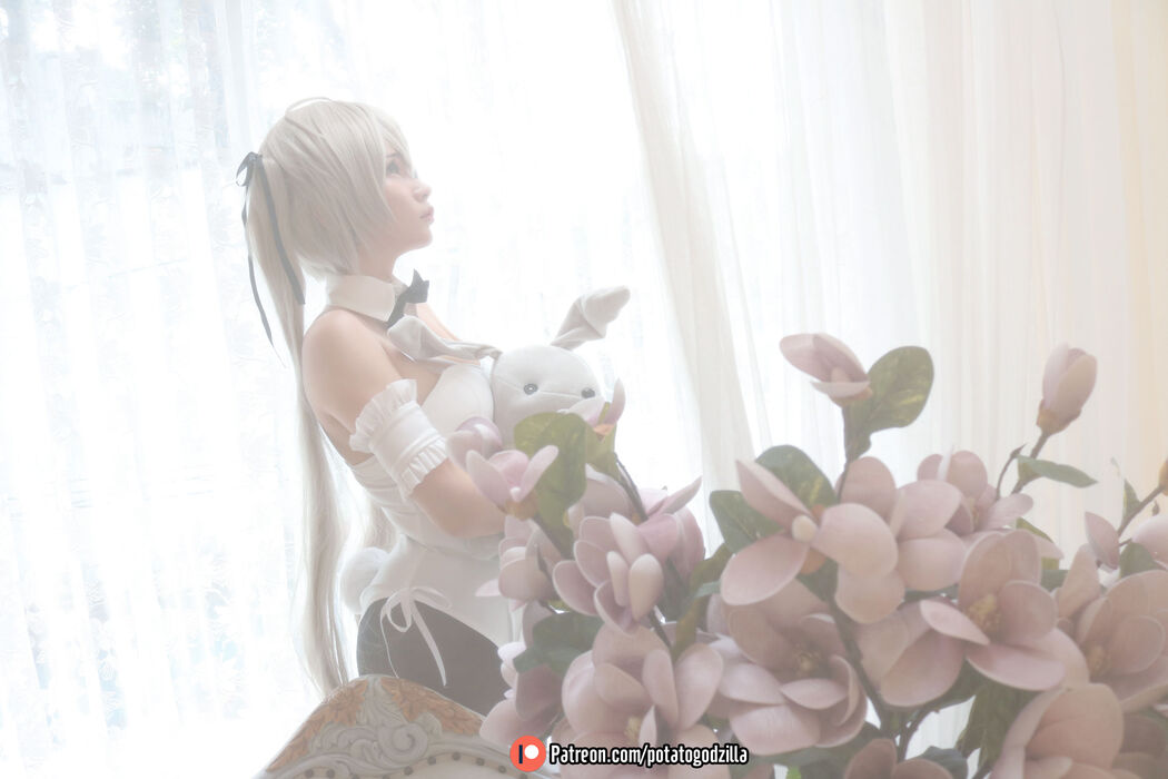 [COS Welfare] Miss Coser Potato Godzilla - Sora Kasugano Bunny Suit