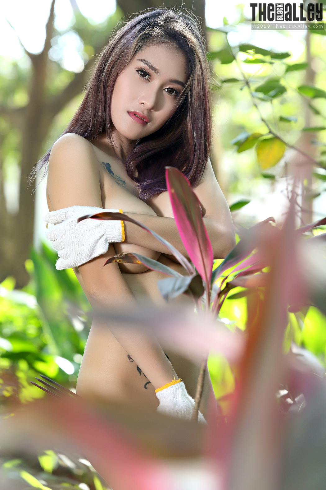 Linlin The Black Alley Photobook Set.11