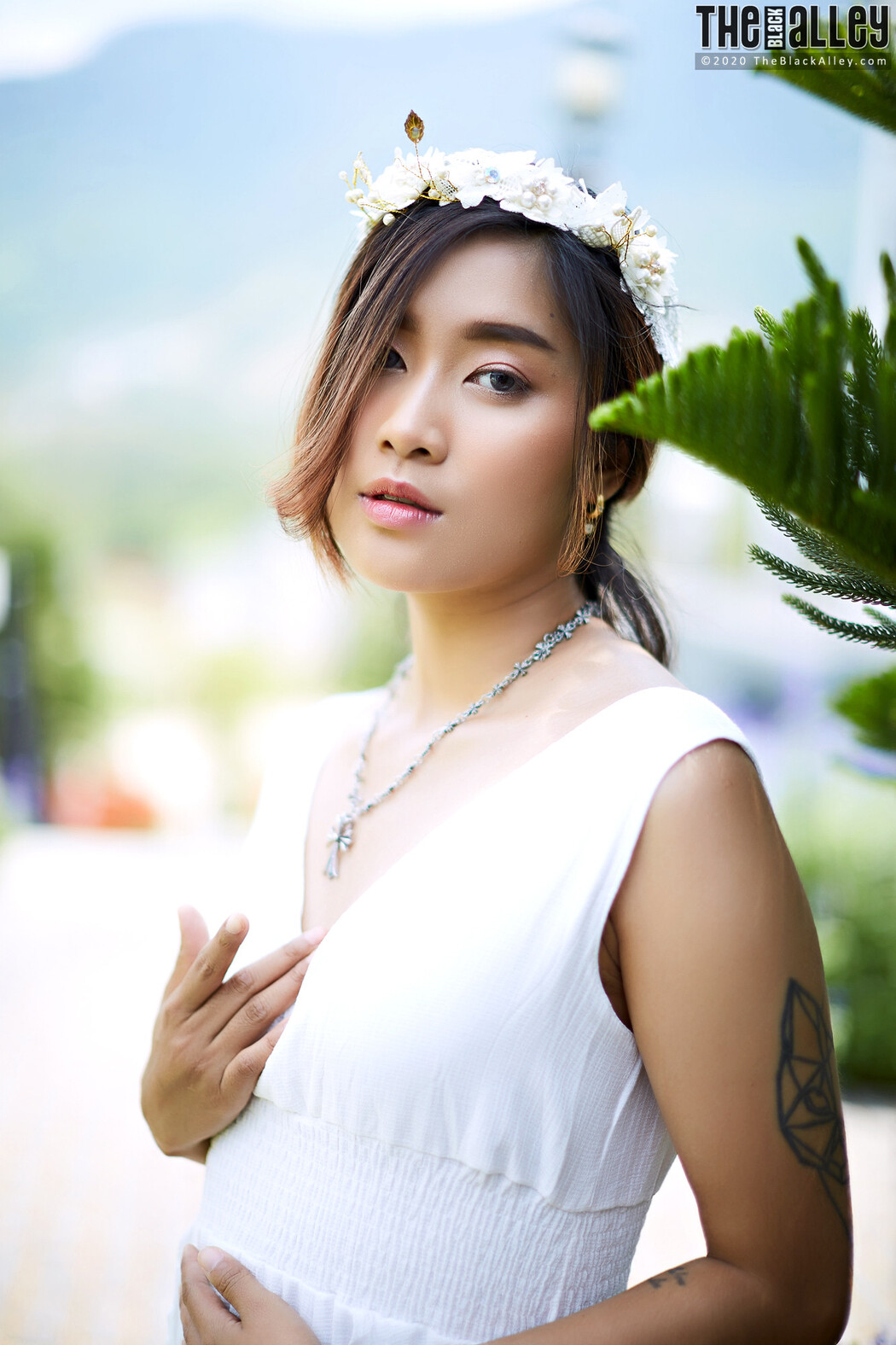 Apple The Black Alley Photobook Set.86 Cover Photo