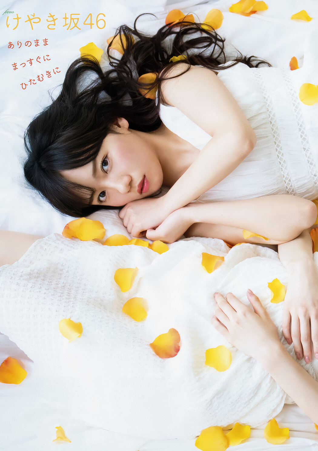 齊藤京子・加藤史帆・高瀬愛奈・潮紗理菜, Young Animal 2018 No.13 (ヤングアニマル 2018年13号)