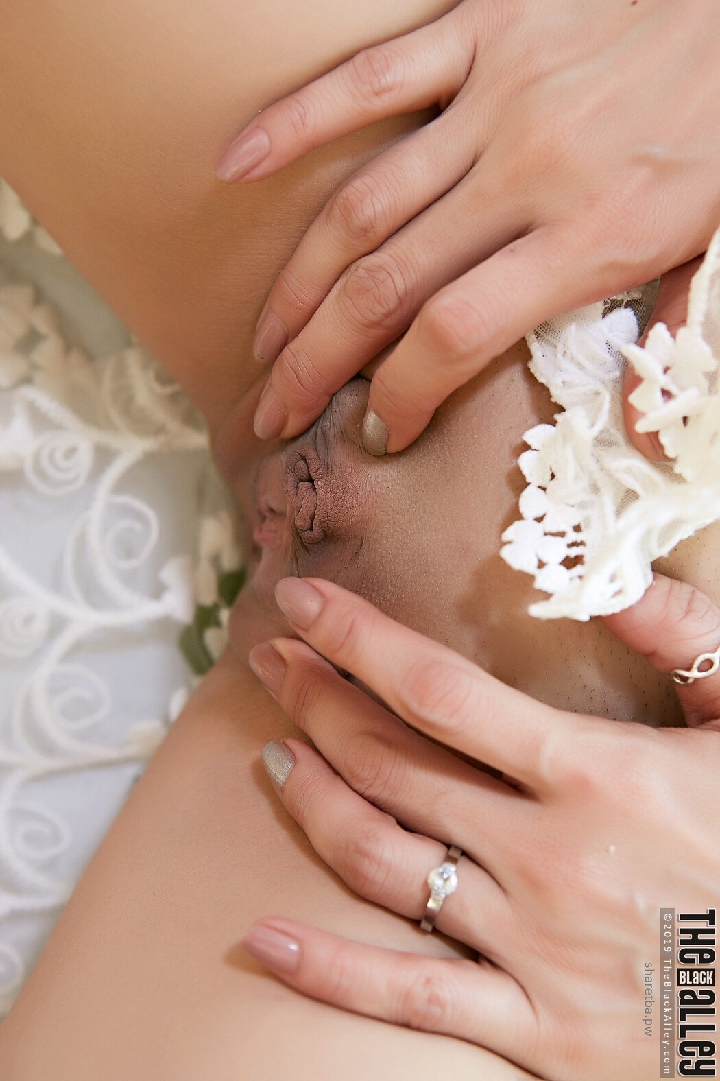 Natalie Wang The Black Alley Photobook Set.99