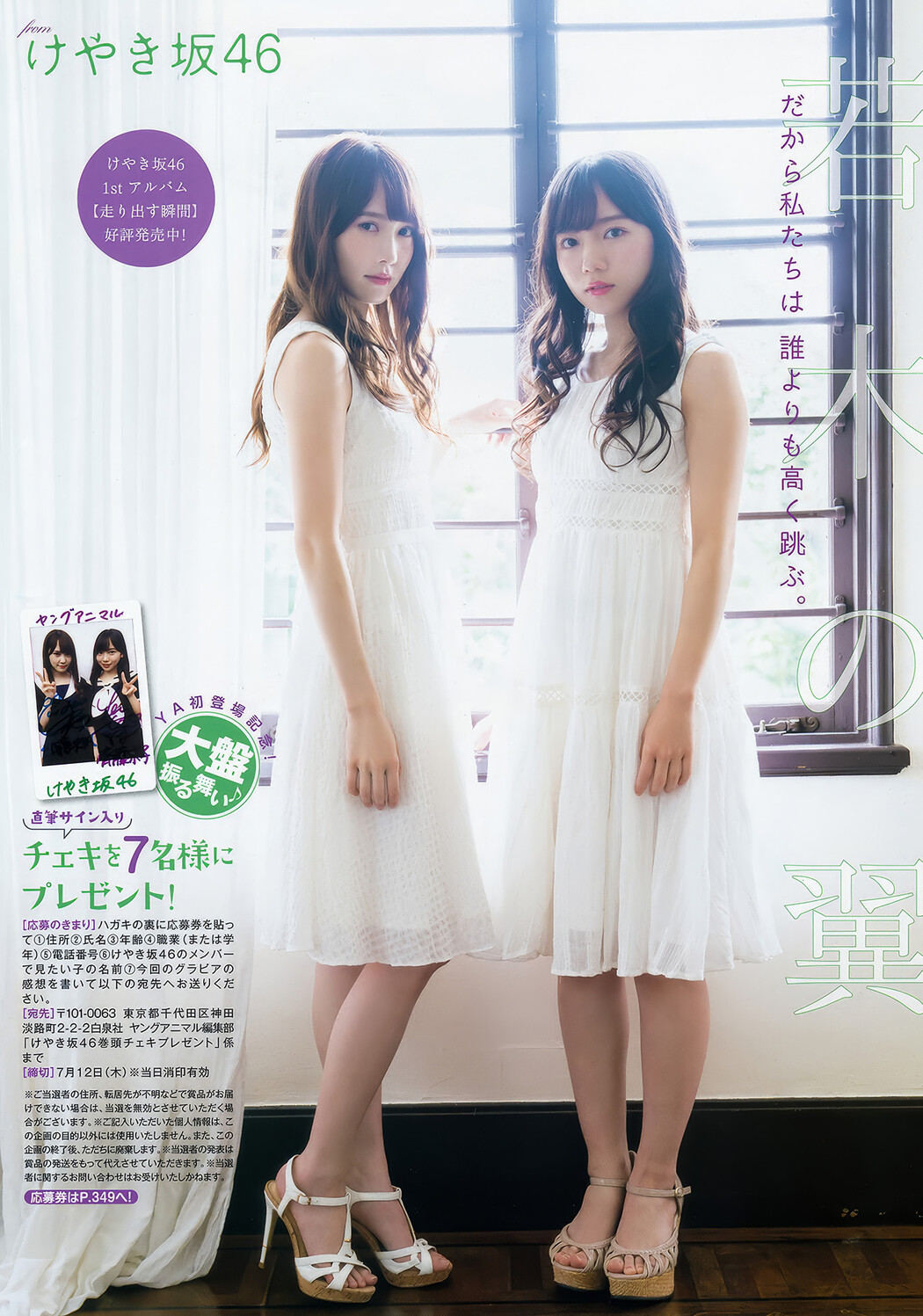 齊藤京子・加藤史帆・高瀬愛奈・潮紗理菜, Young Animal 2018 No.13 (ヤングアニマル 2018年13号)