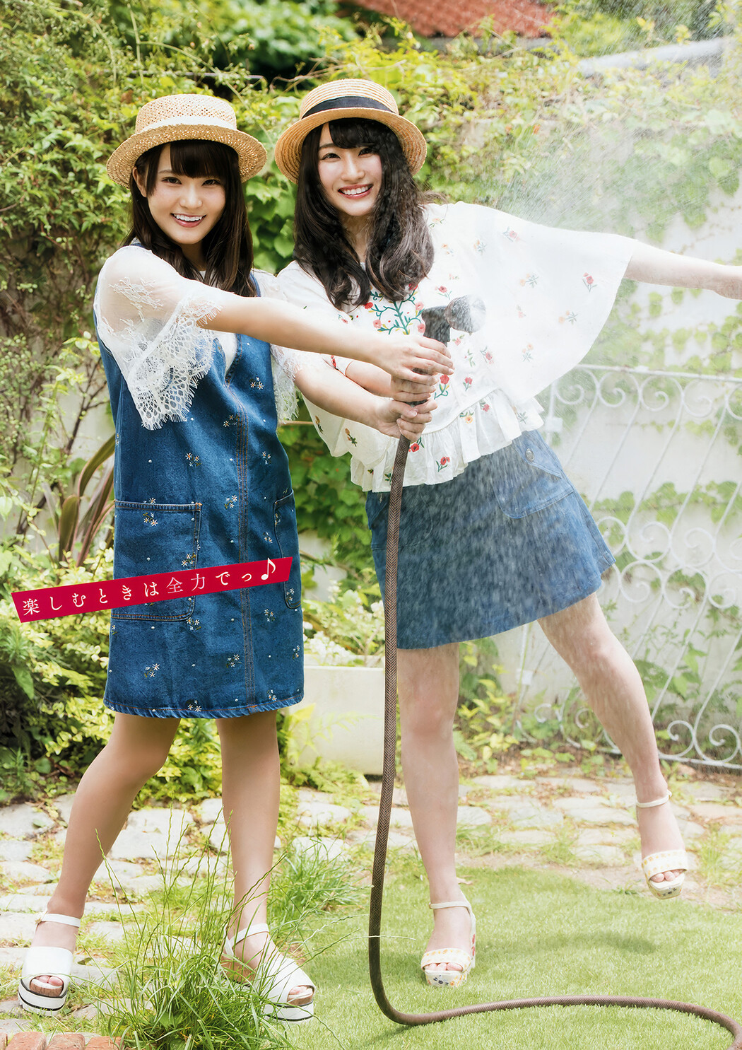 齊藤京子・加藤史帆・高瀬愛奈・潮紗理菜, Young Animal 2018 No.13 (ヤングアニマル 2018年13号)