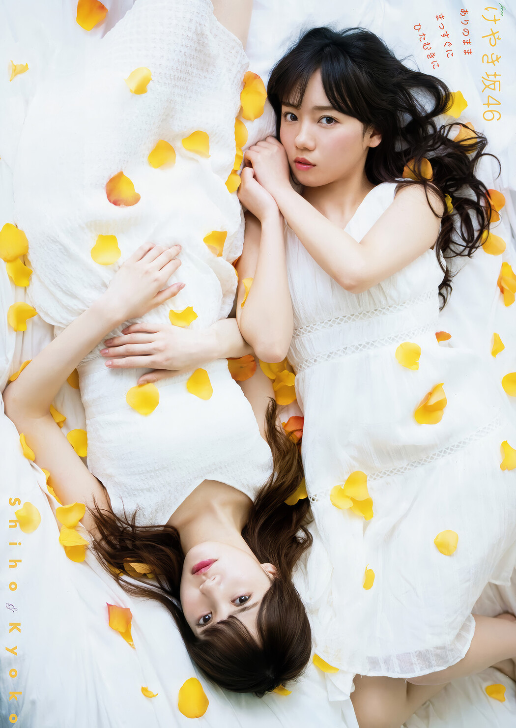 齊藤京子・加藤史帆・高瀬愛奈・潮紗理菜, Young Animal 2018 No.13 (ヤングアニマル 2018年13号)