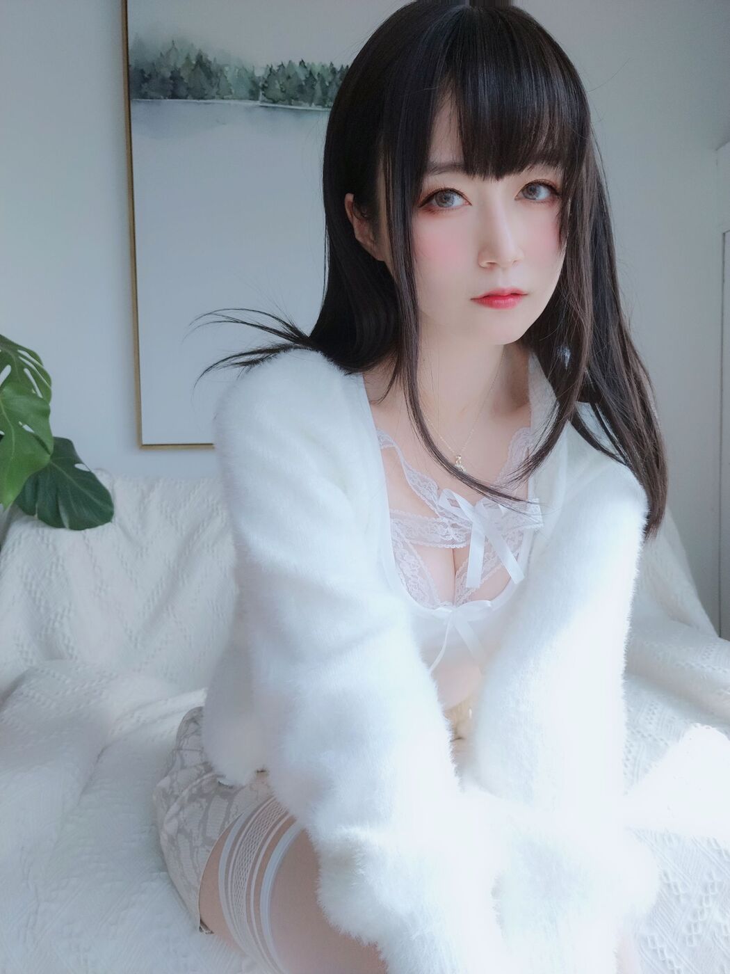 [COS Welfare] Miss Coser Silver - White Lace