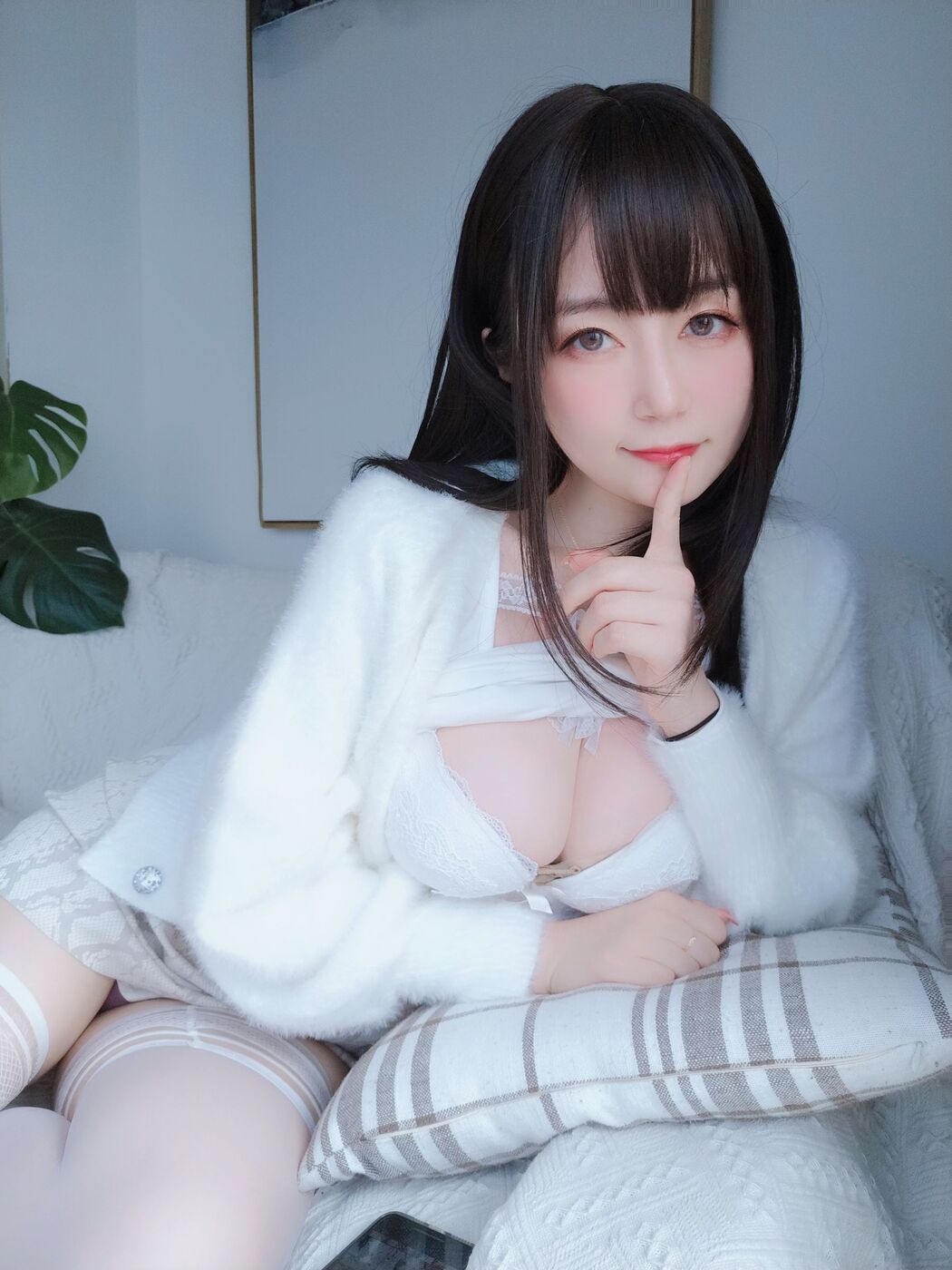 [COS Welfare] Miss Coser Silver - White Lace