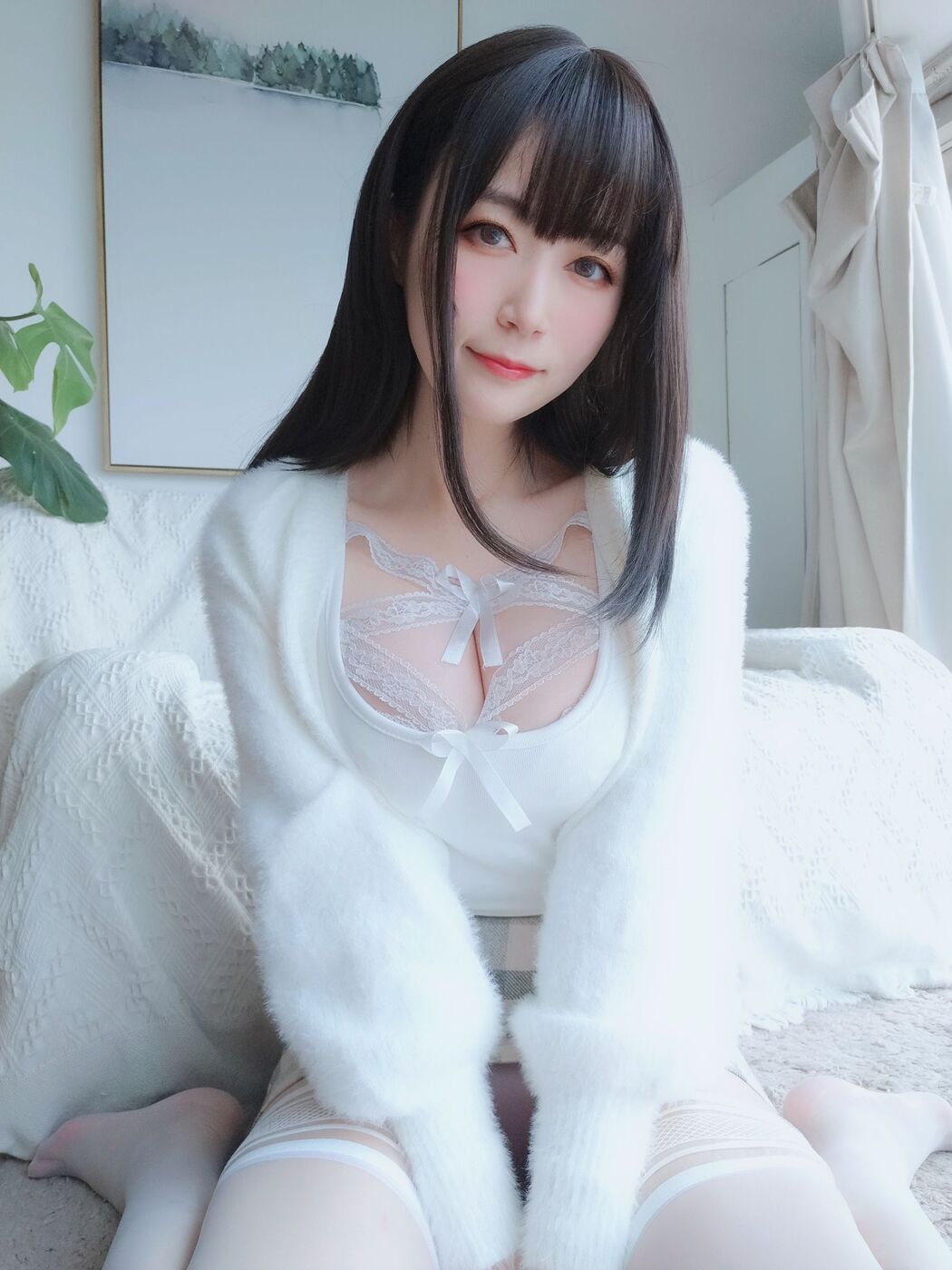 [COS Welfare] Miss Coser Silver - White Lace