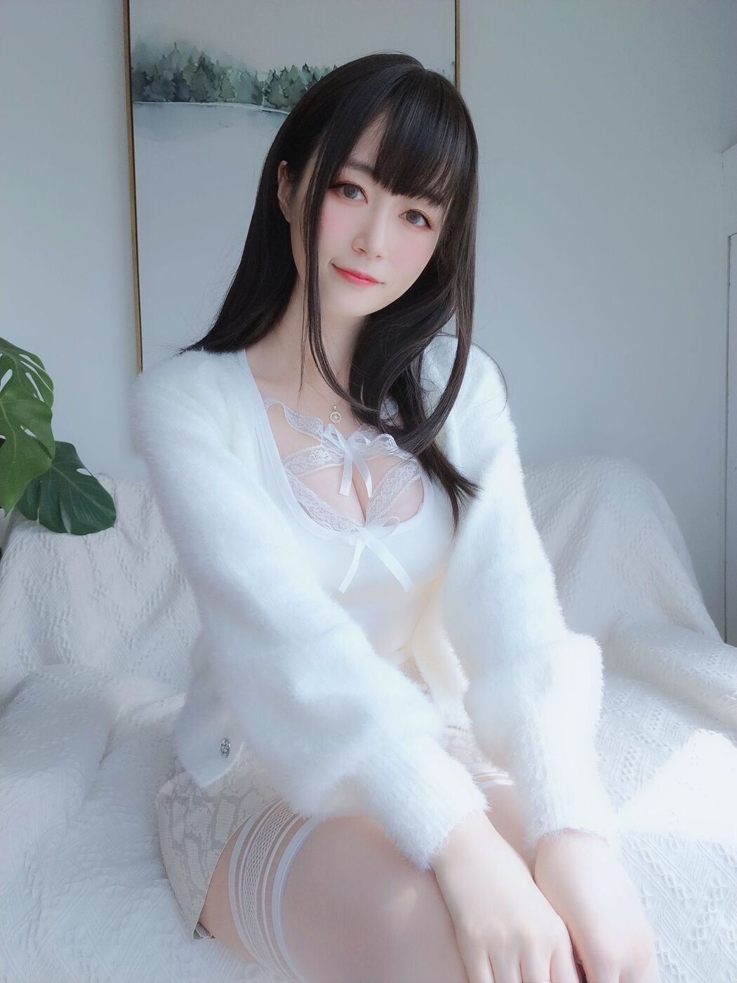 [COS Welfare] Miss Coser Silver - White Lace