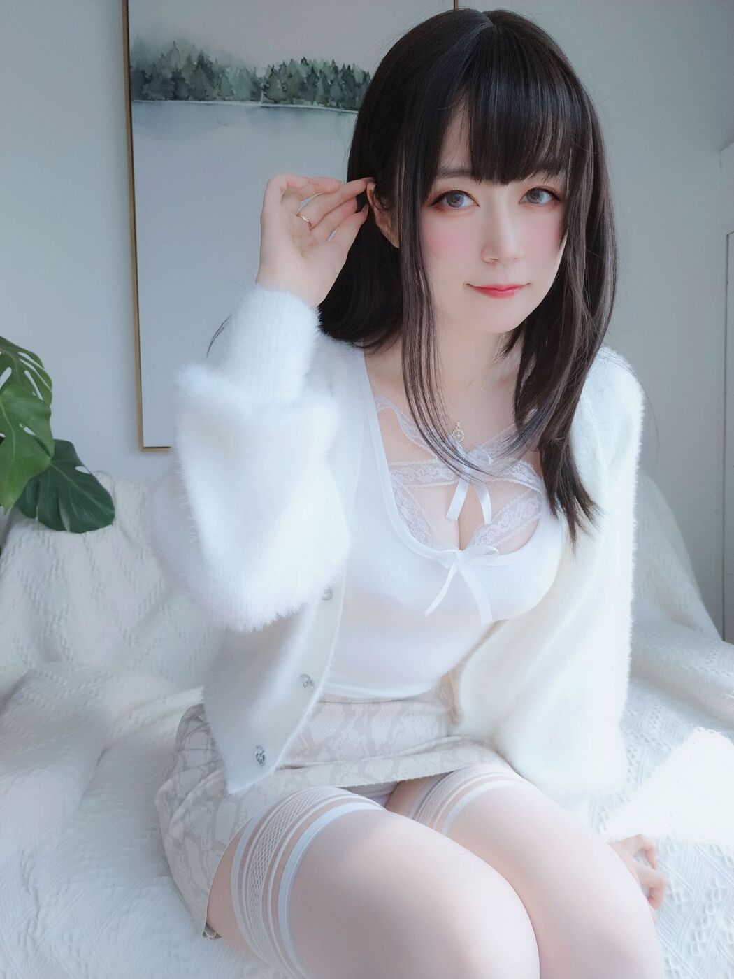 [COS Welfare] Miss Coser Silver - White Lace