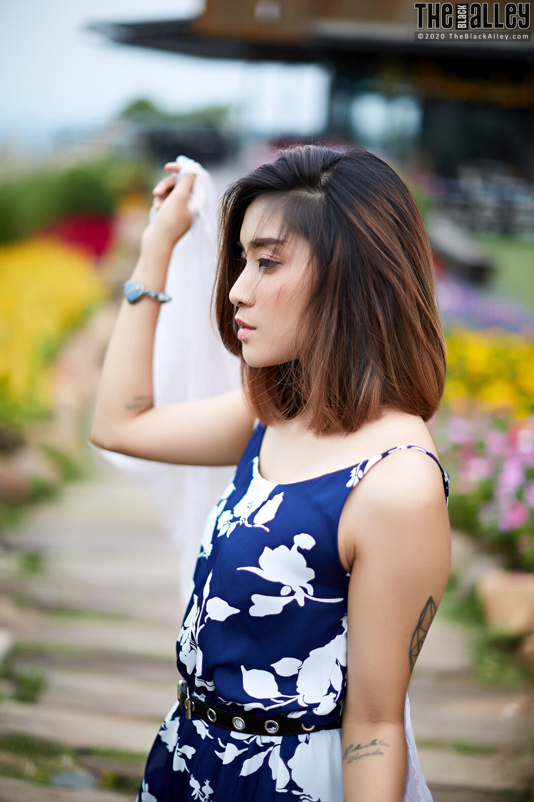 Apple The Black Alley Photobook Set.85