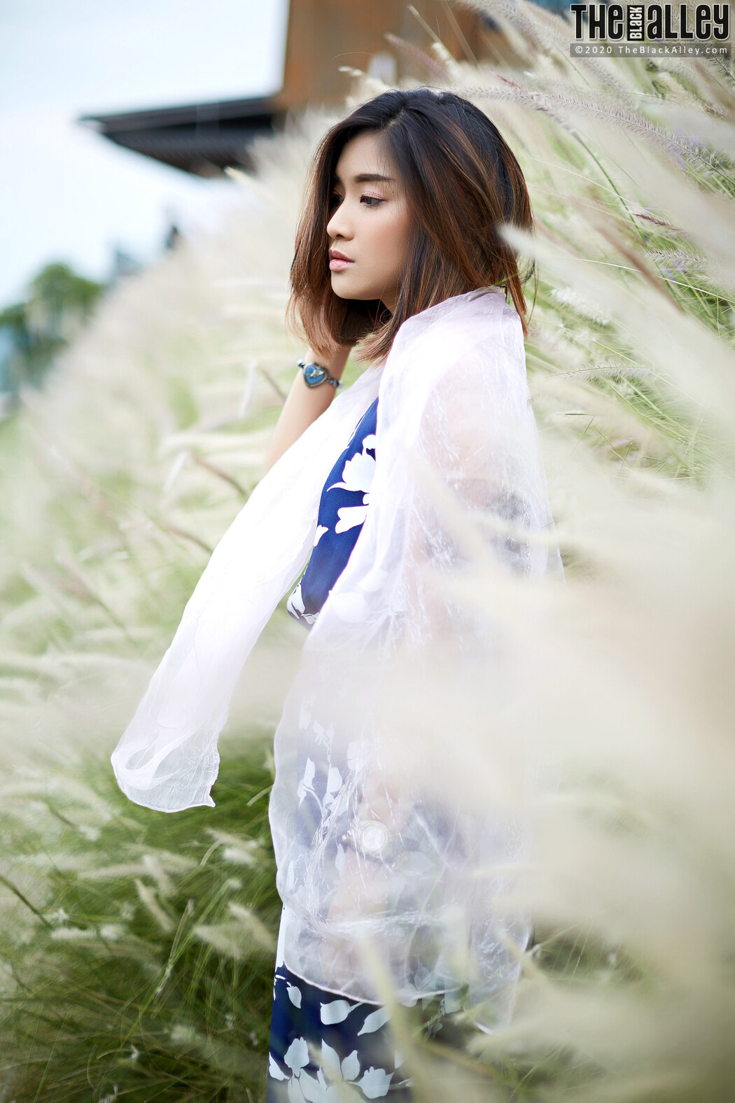 Apple The Black Alley Photobook Set.85