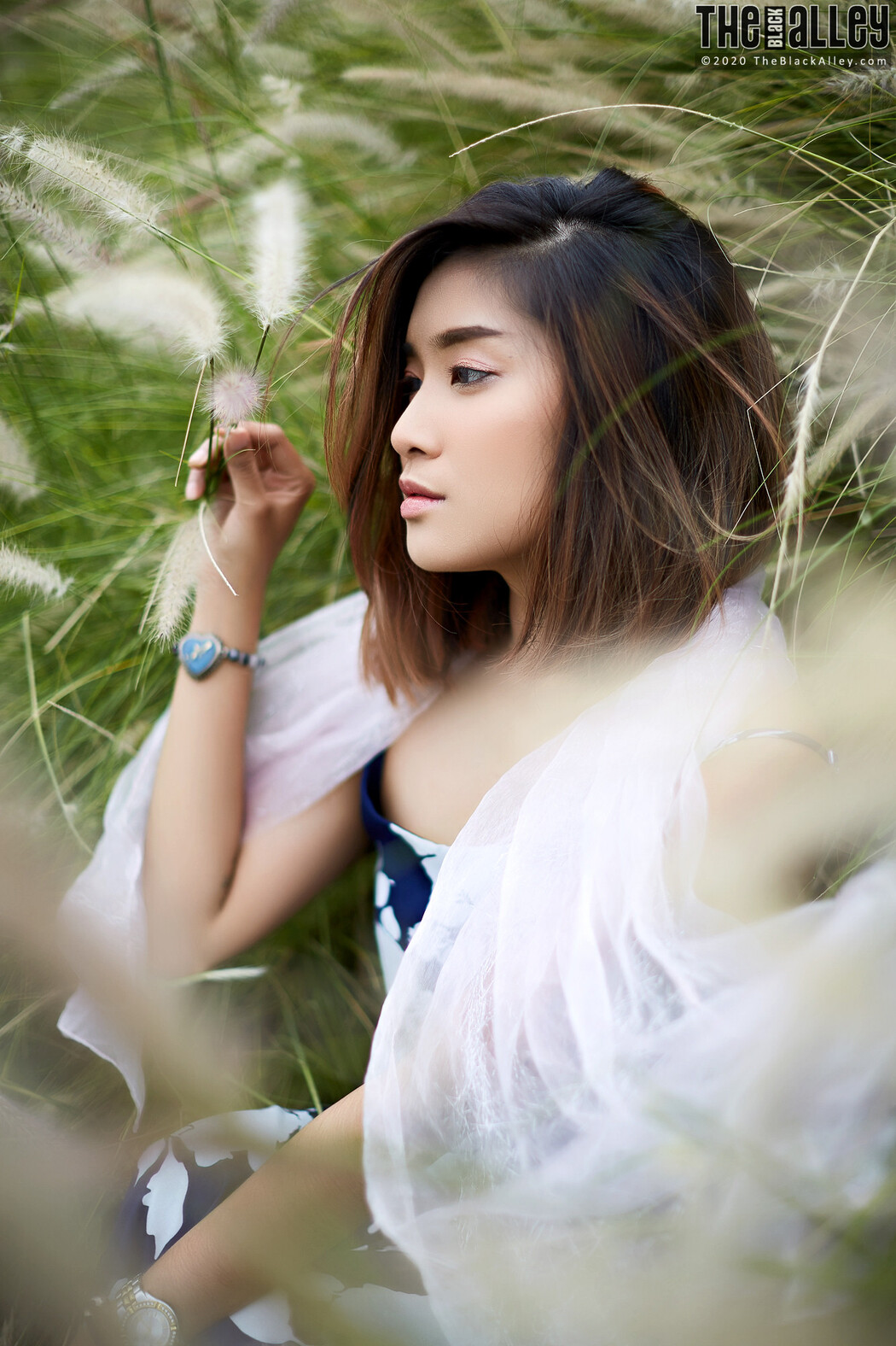 Apple The Black Alley Photobook Set.85