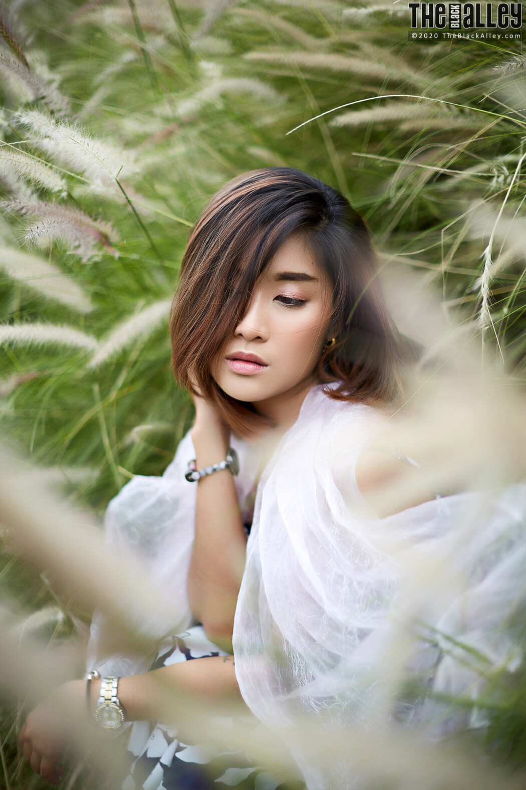 Apple The Black Alley Photobook Set.85