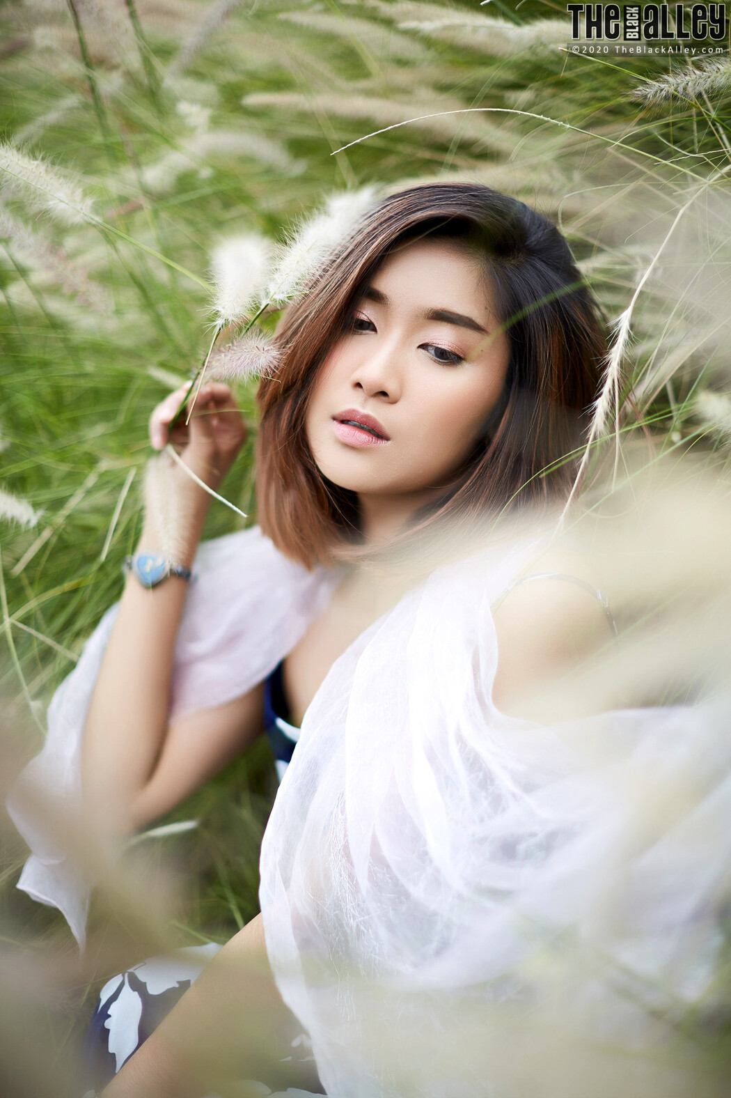 Apple The Black Alley Photobook Set.85