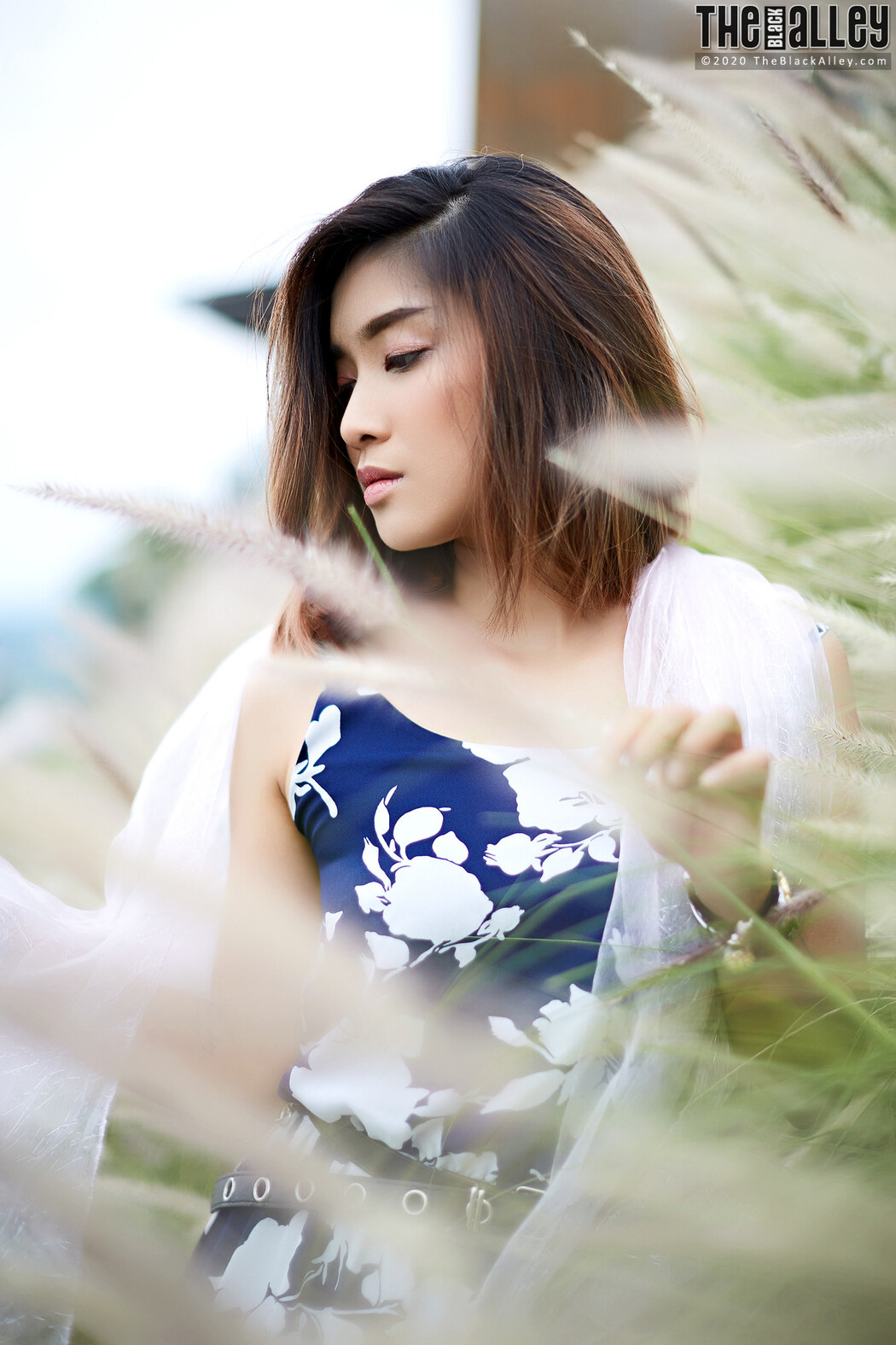 Apple The Black Alley Photobook Set.85