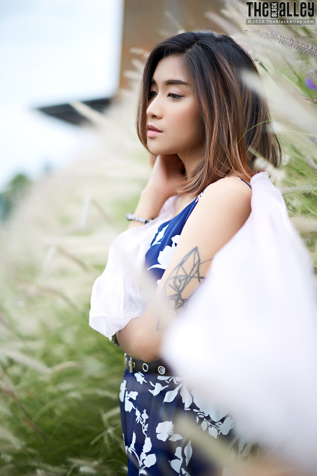 Apple The Black Alley Photobook Set.85