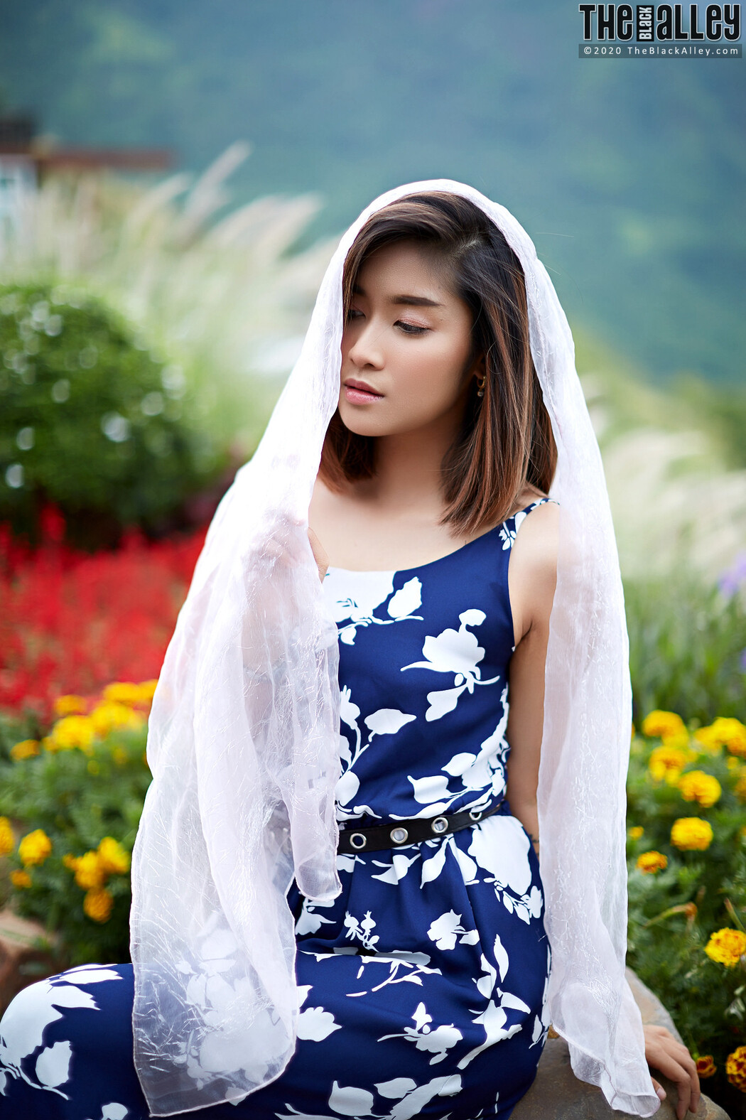 Apple The Black Alley Photobook Set.85