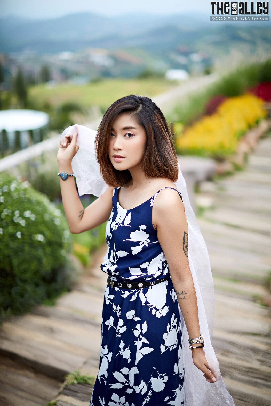 Apple The Black Alley Photobook Set.85