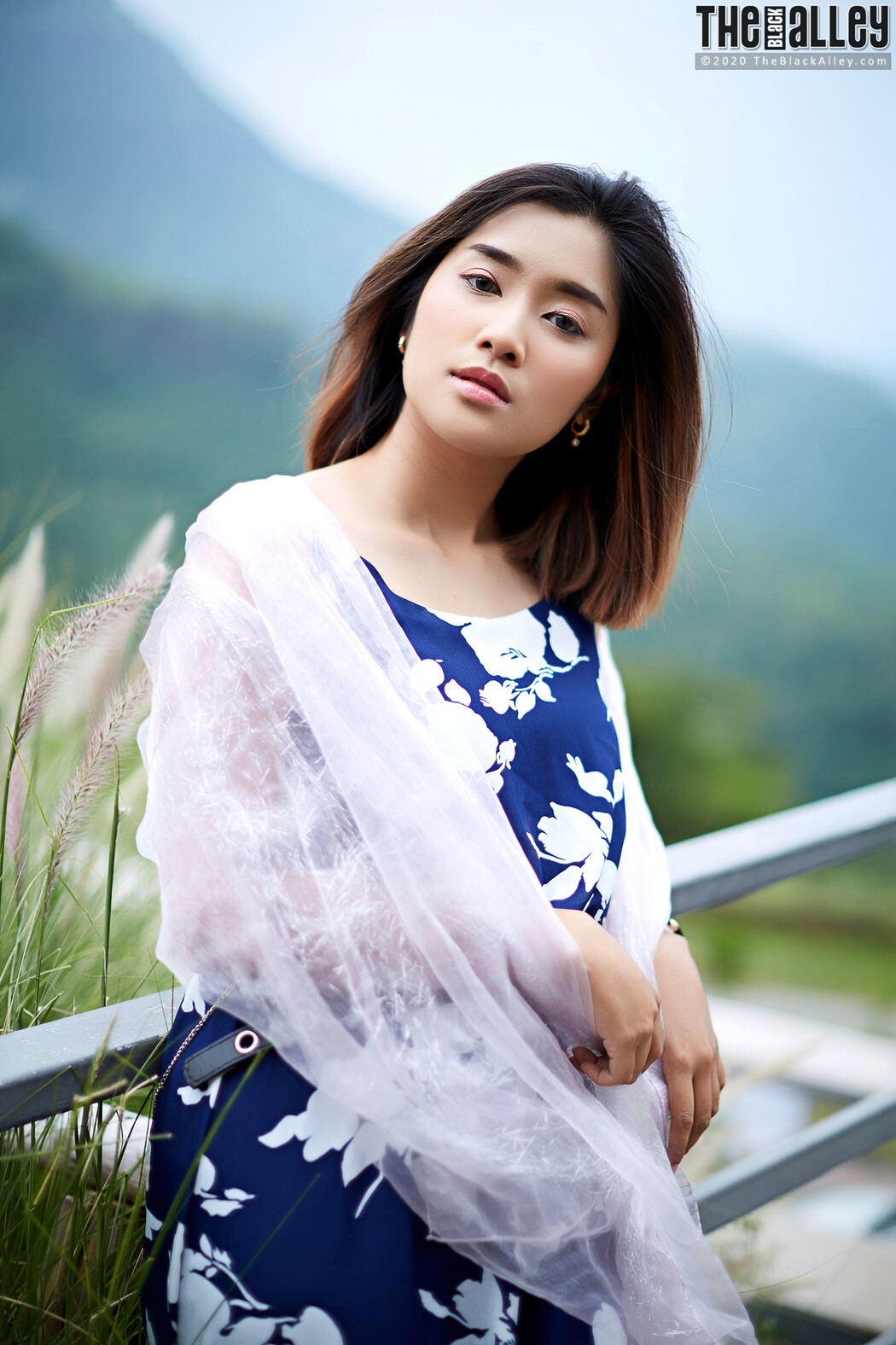 Apple The Black Alley Photobook Set.85