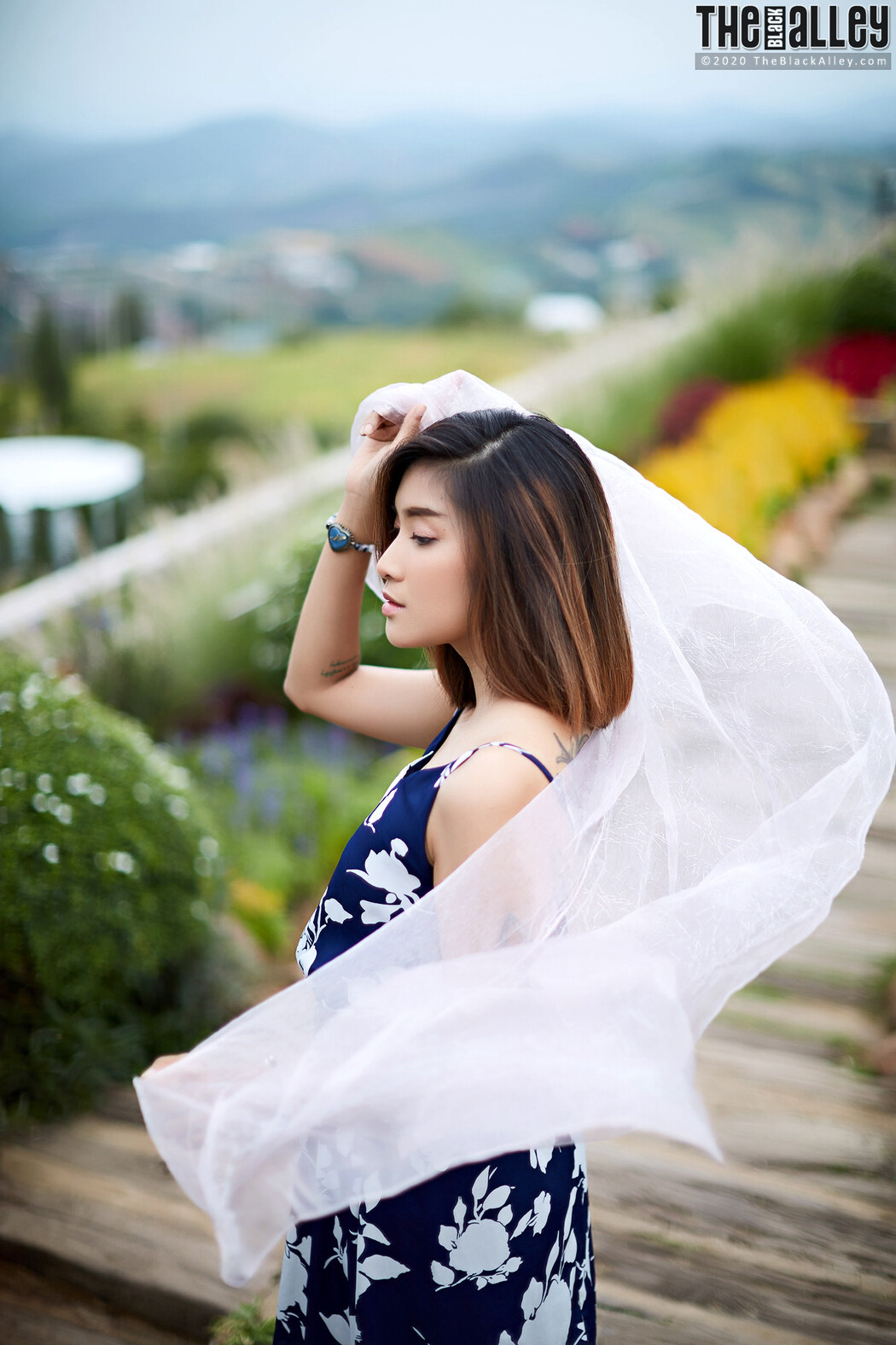 Apple The Black Alley Photobook Set.85