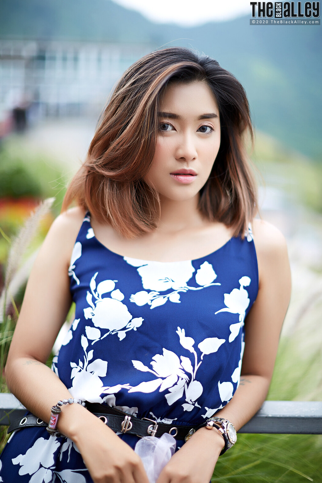 Apple The Black Alley Photobook Set.85