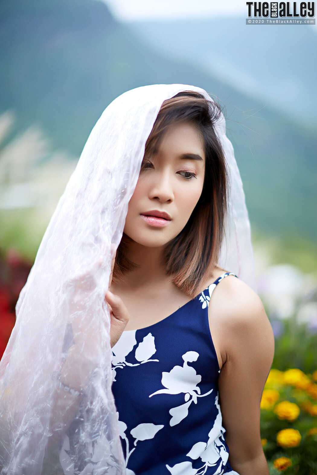 Apple The Black Alley Photobook Set.85