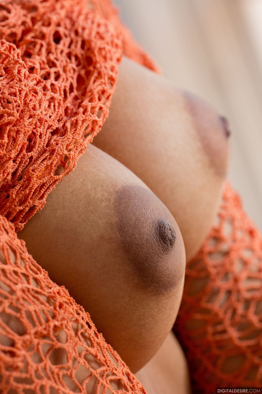 Close Up Women&#039;s Tits