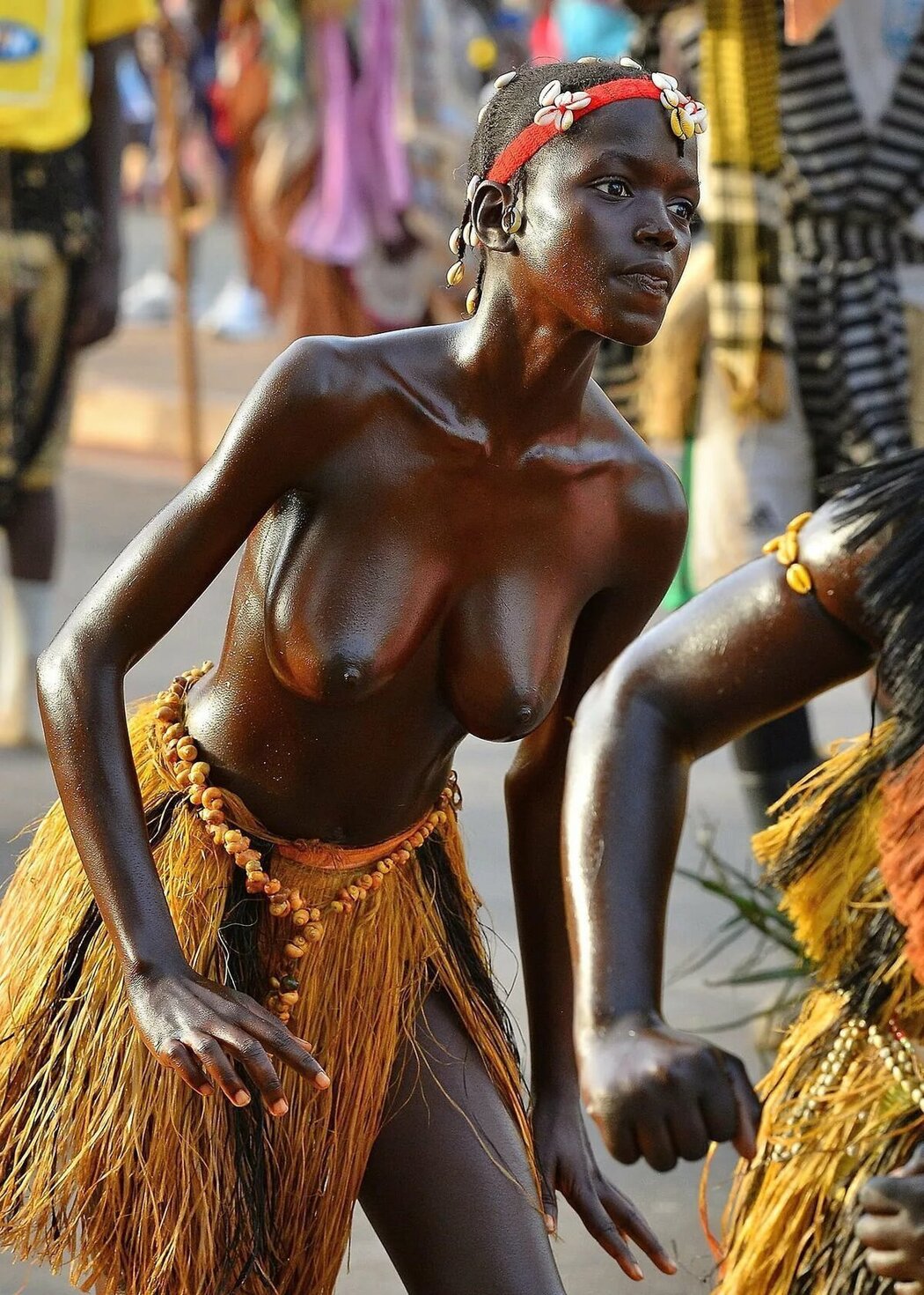 African Tits