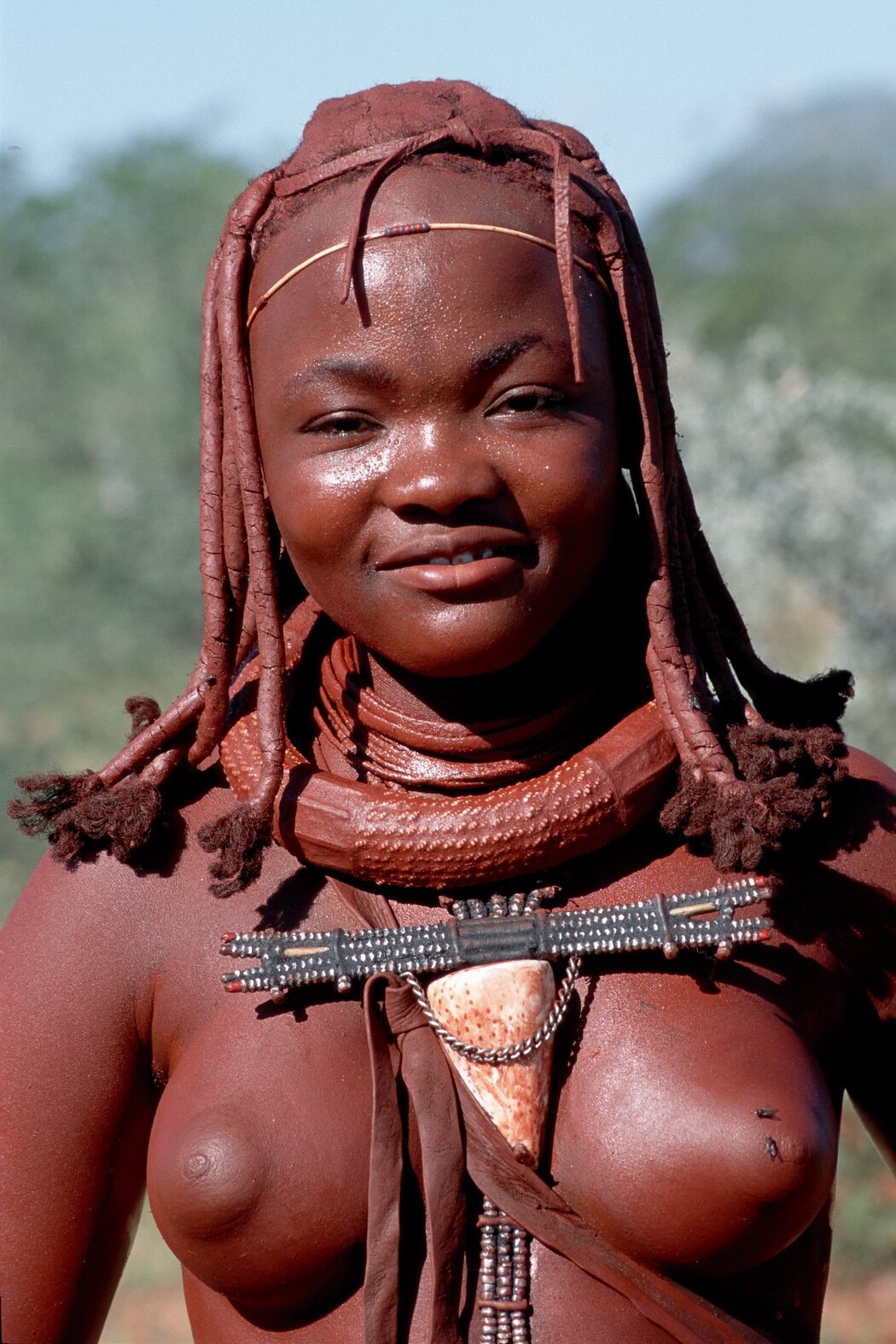 African Tits