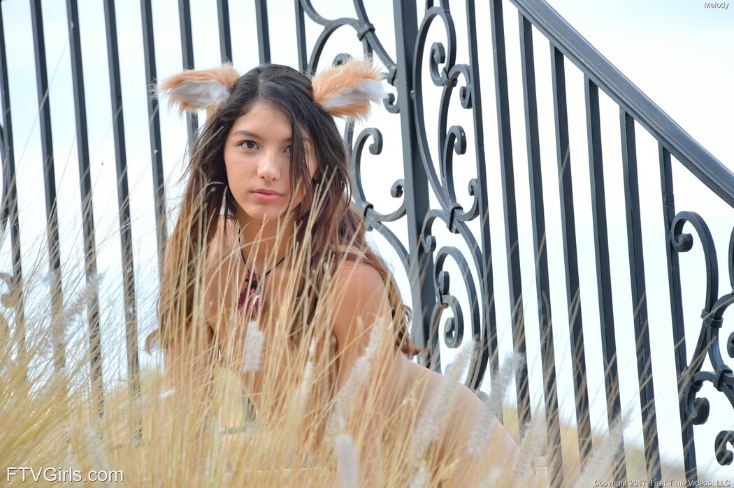 Melody