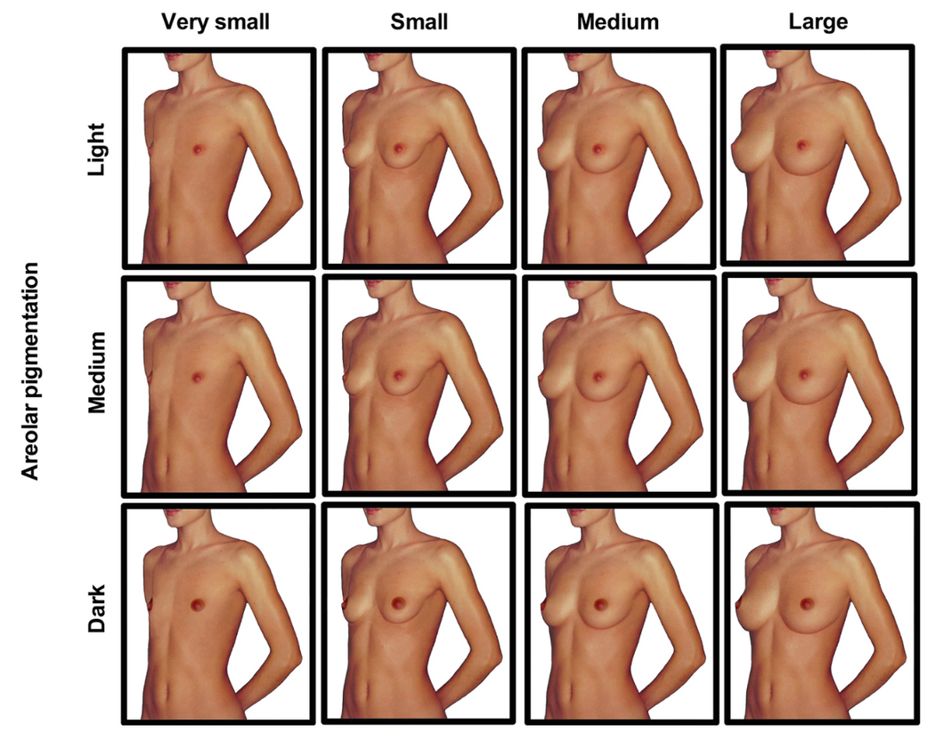 Nude Tit Sizes