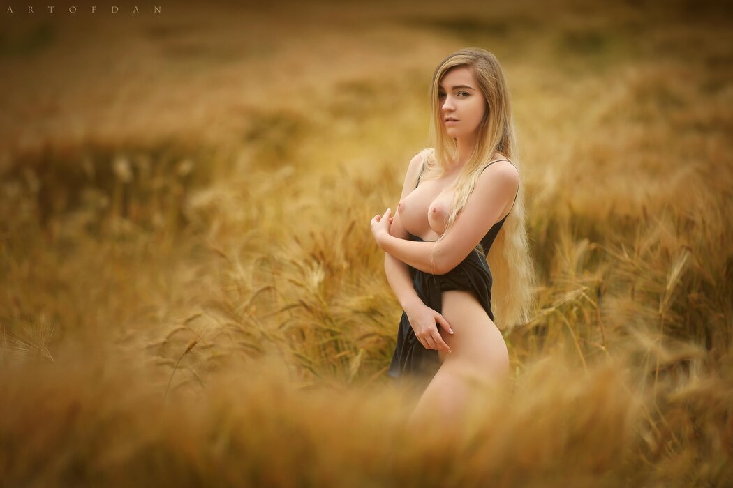 Field Tits