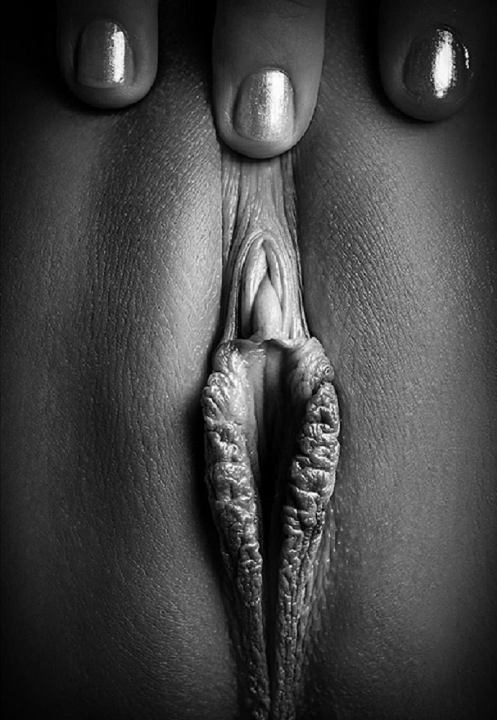 Close Up Erotica