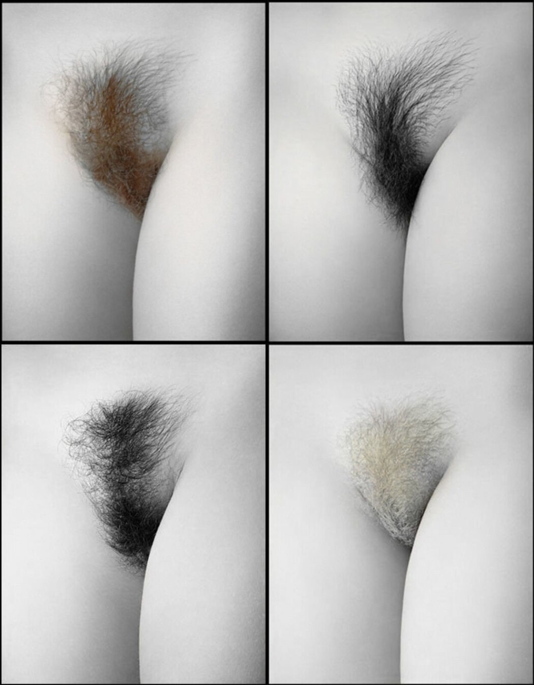 Well Groomed Pussy