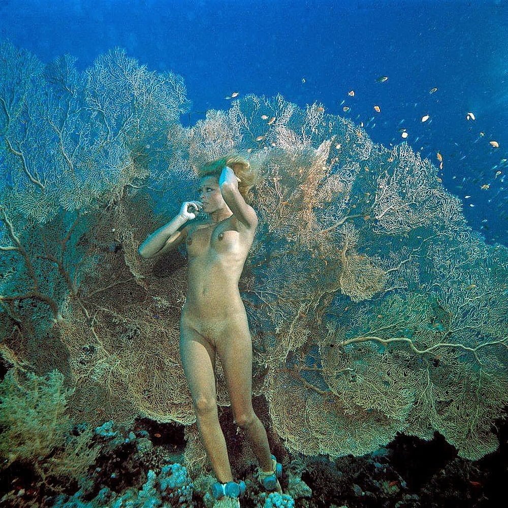 Scuba Erotica