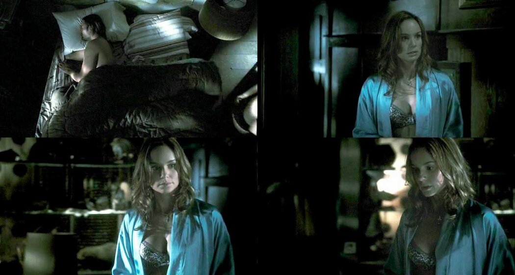 Sarah Wayne Callies Hot