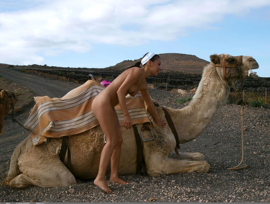Mongolian Nudes