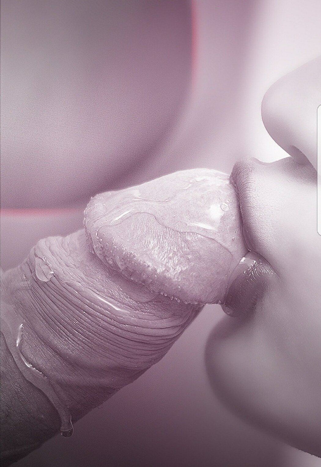 Close Up Blowjob