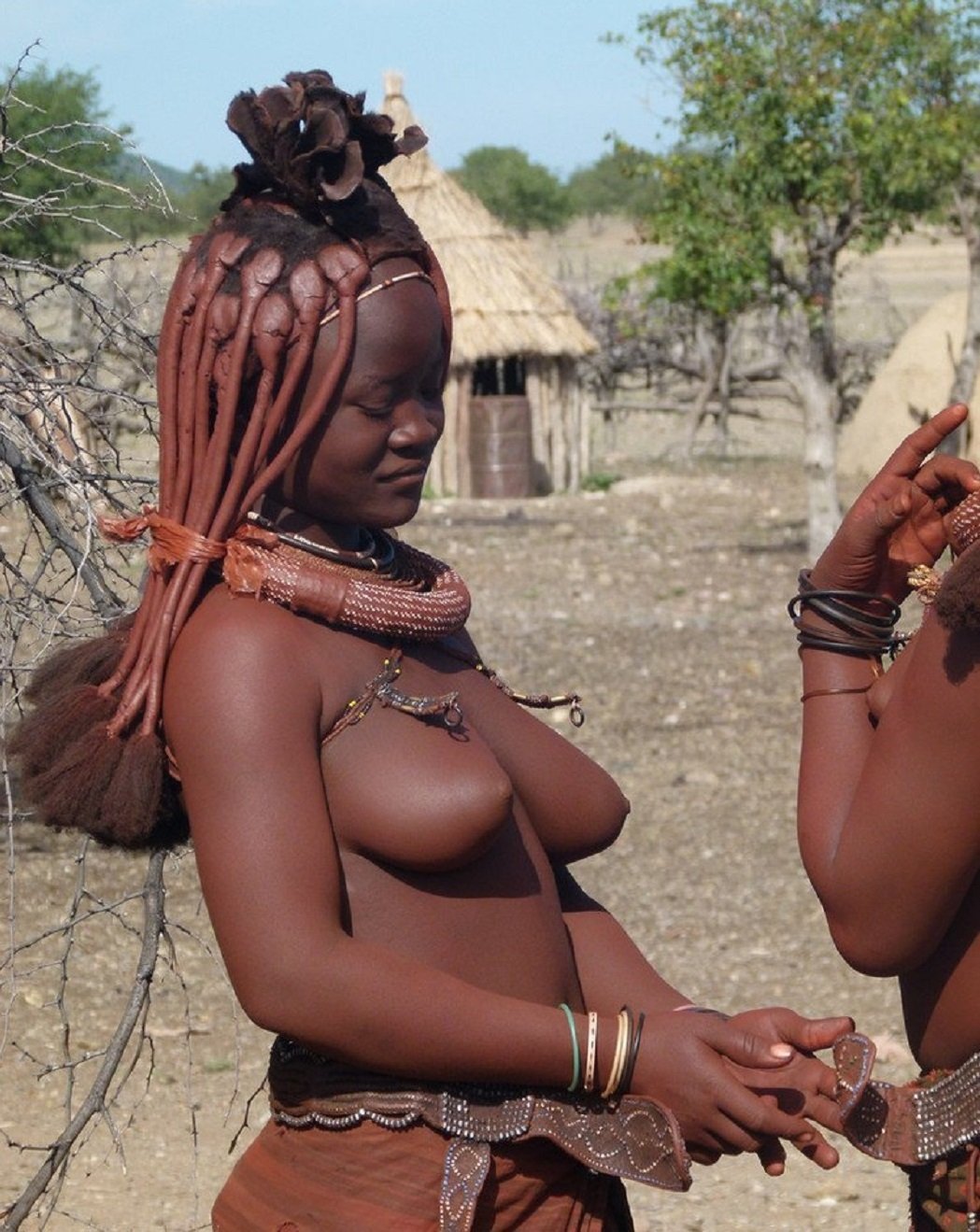 Africa Tits