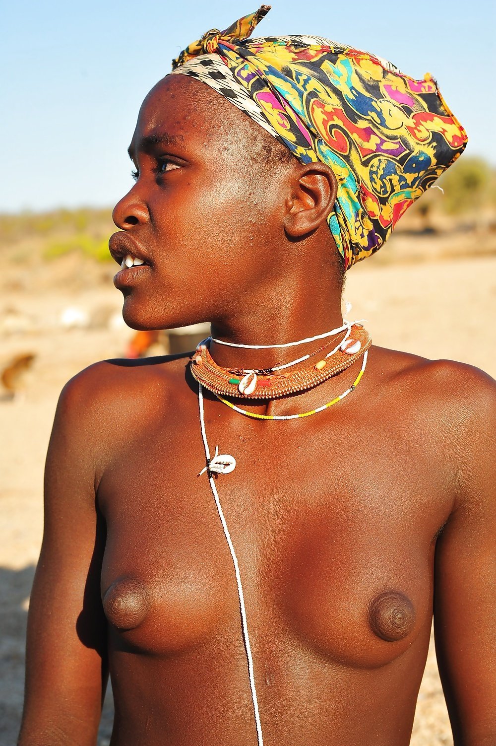Africa Tits