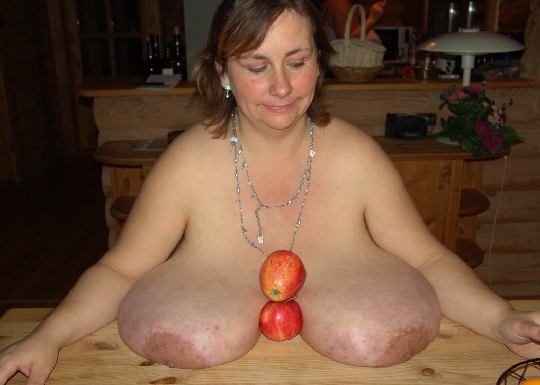 Spaniel Tits