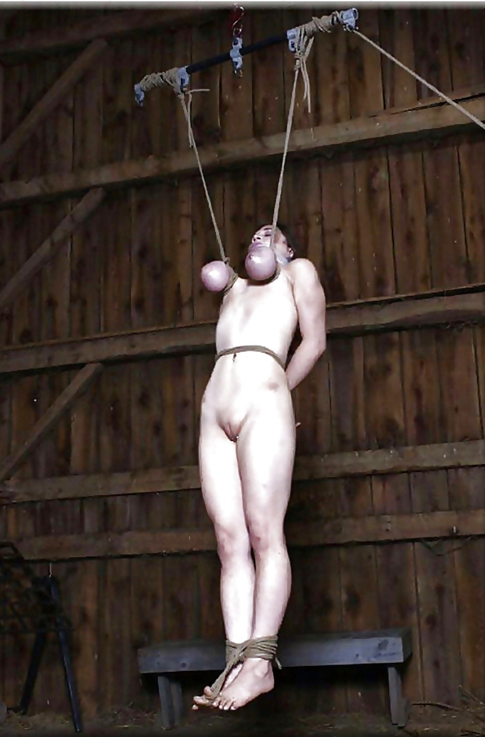 Women Hanging By Tits