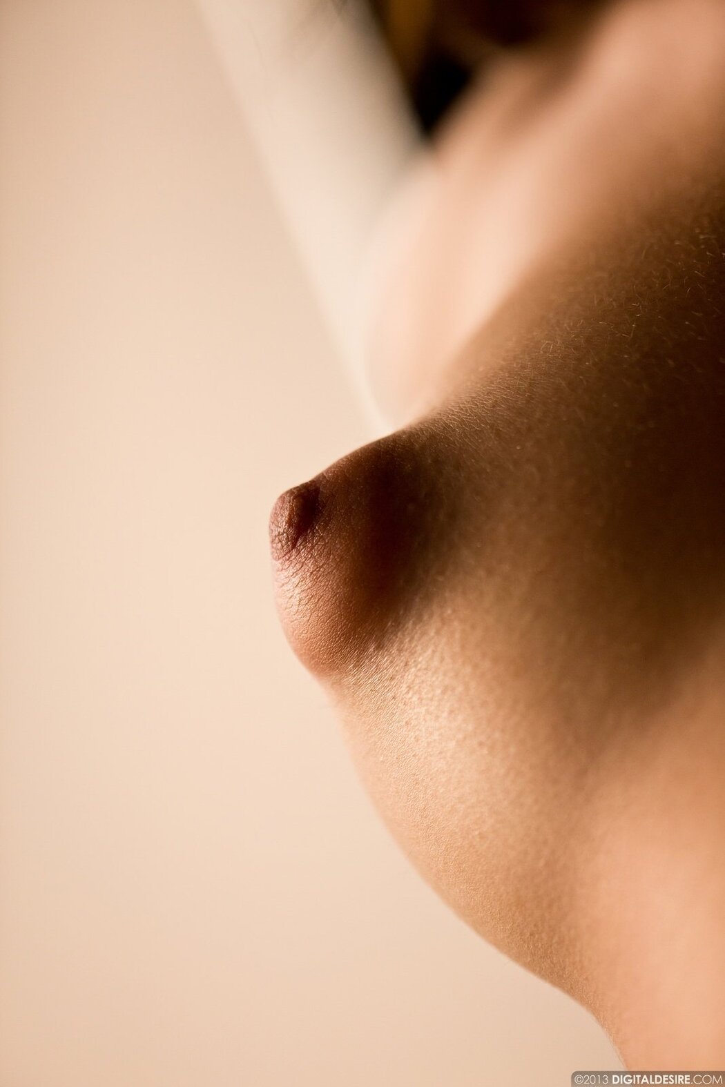 Closeup Nipples